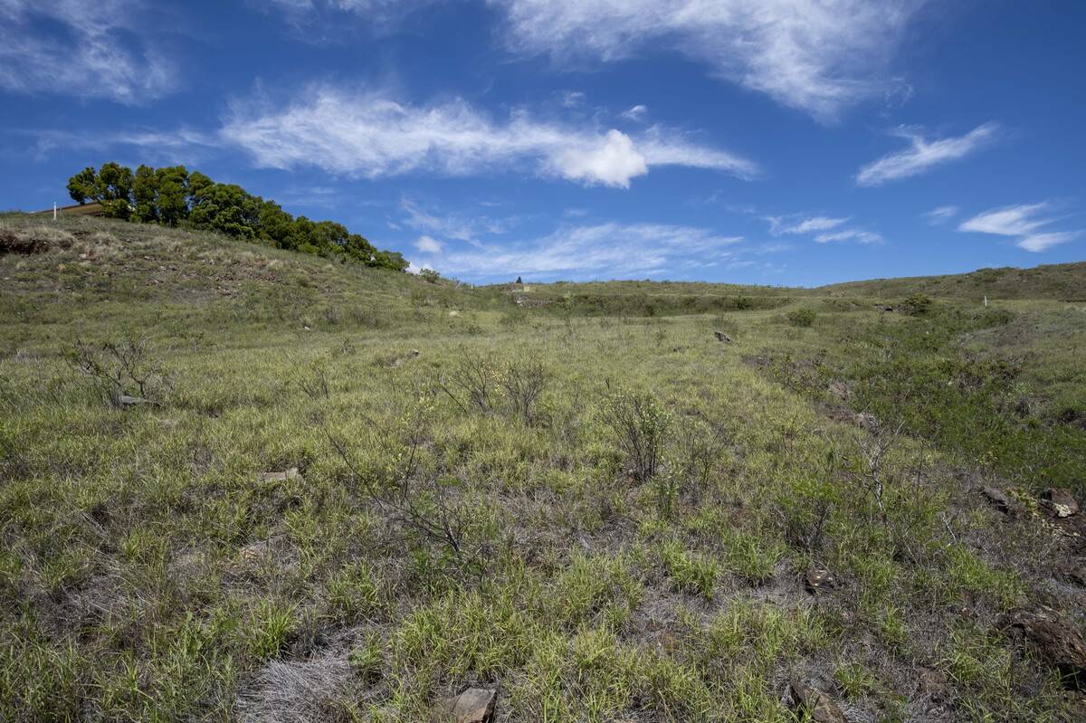 Kamuela, HI 96743,59-121 KANALOA DR