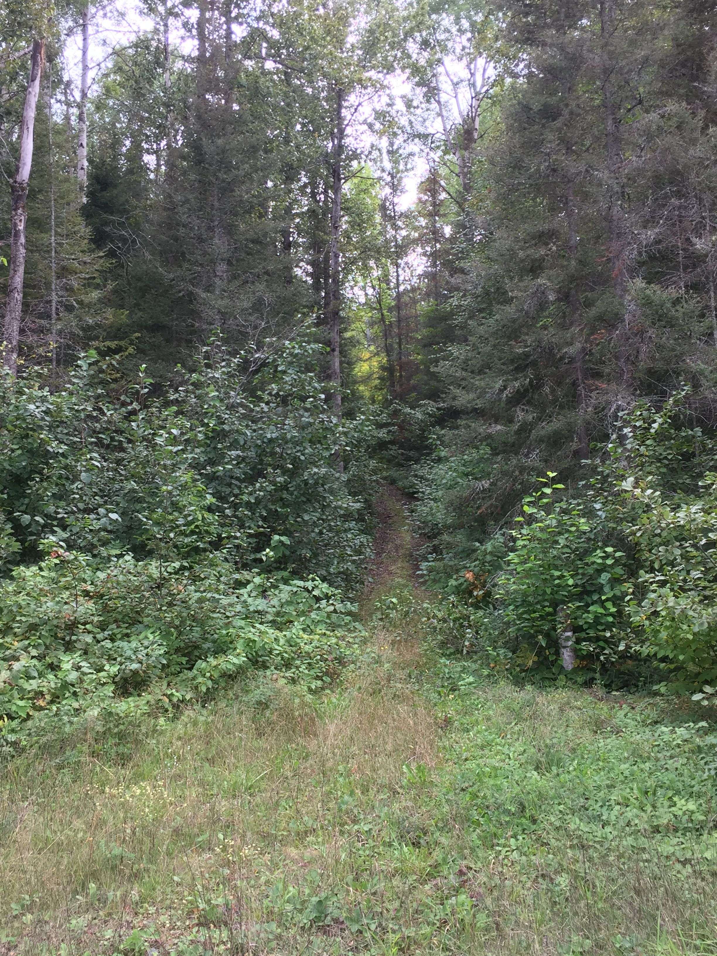 Timiskaming, ON P0J 1C0,PT Lot 2 CON 4 COLEMAN N/A