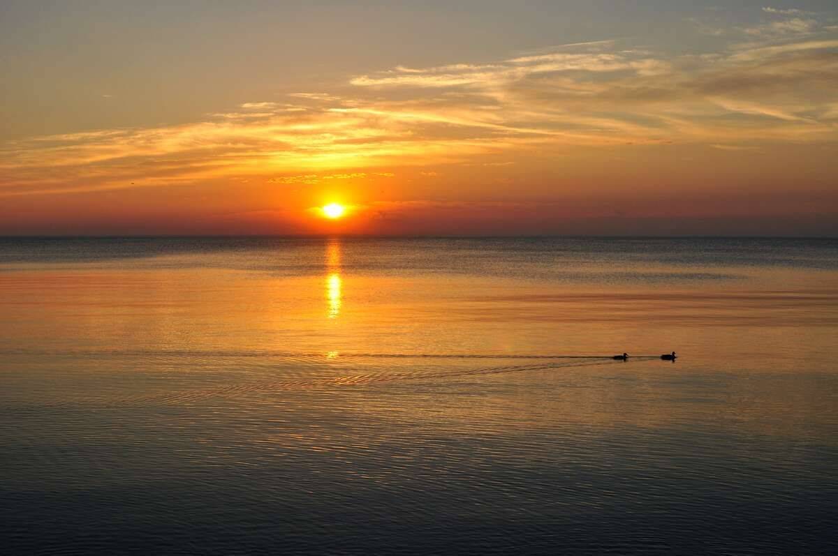 Hamilton, ON L8H 6Z7,971 Beach BLVD