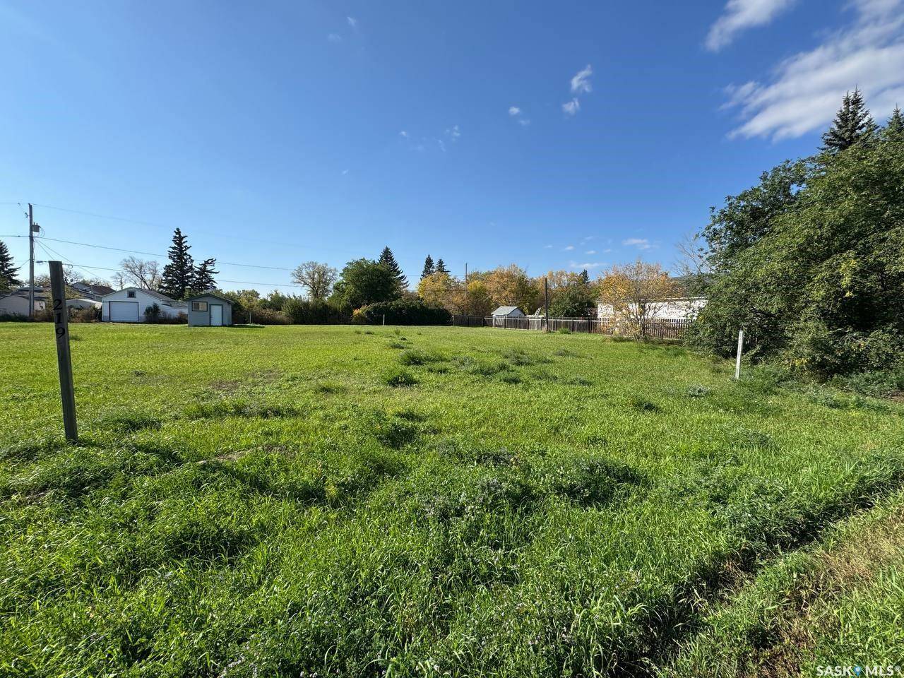 Radisson, SK S0K 3L0,221 James STREET