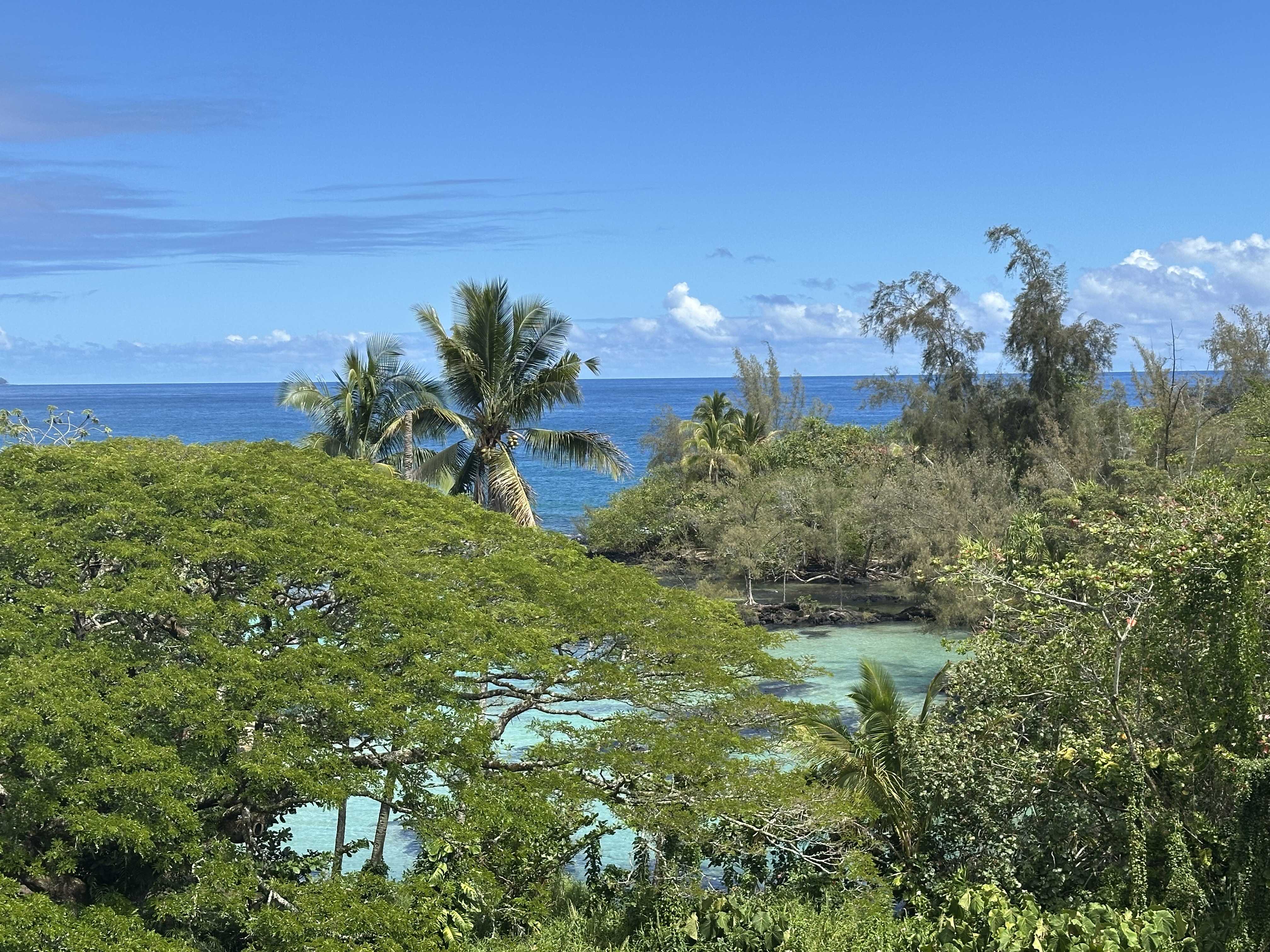 Hilo, HI 96720,1875 MAUNA LOA SHORES #505