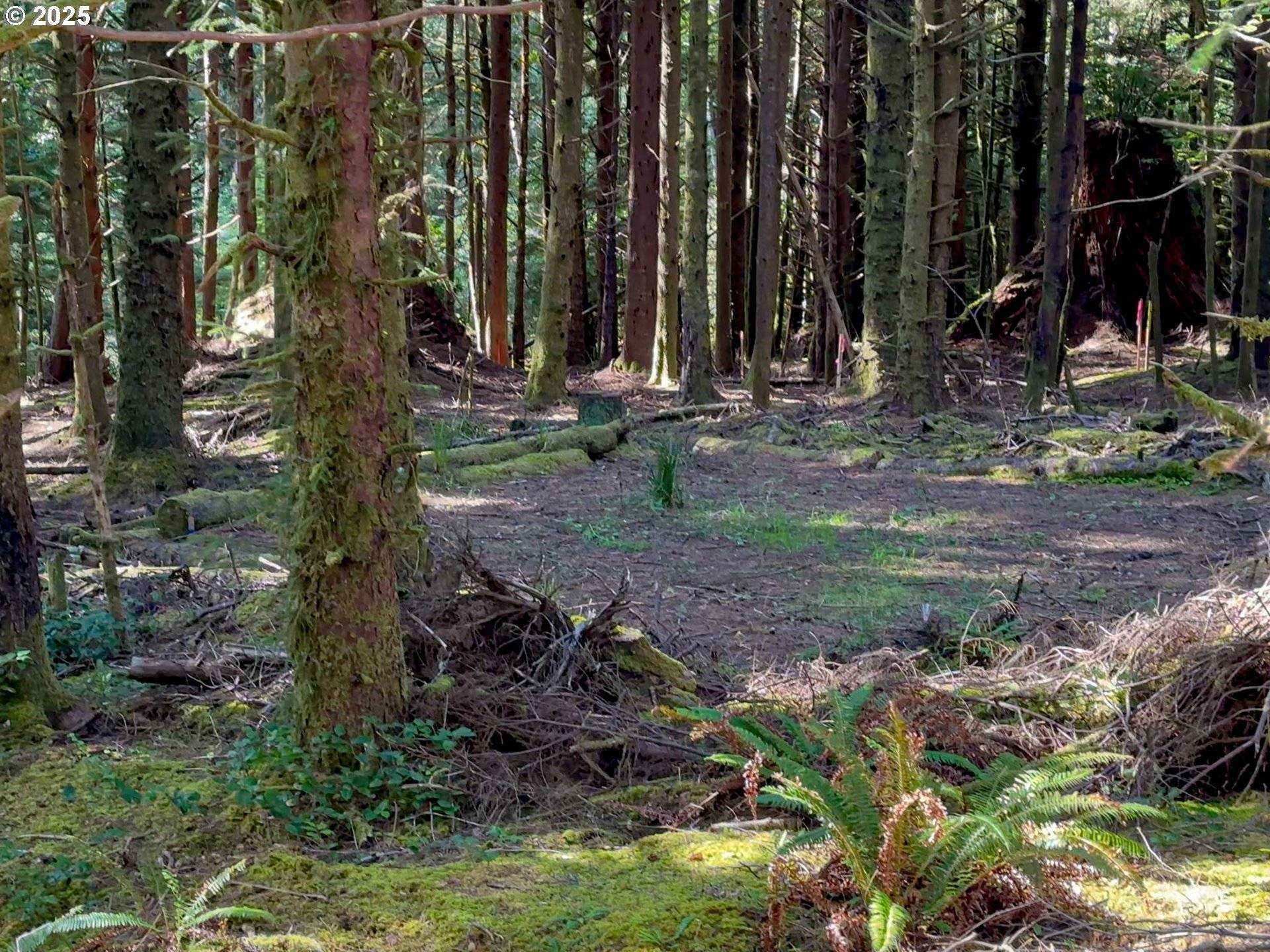 Arch Cape AVE, Arch Cape, OR 97102
