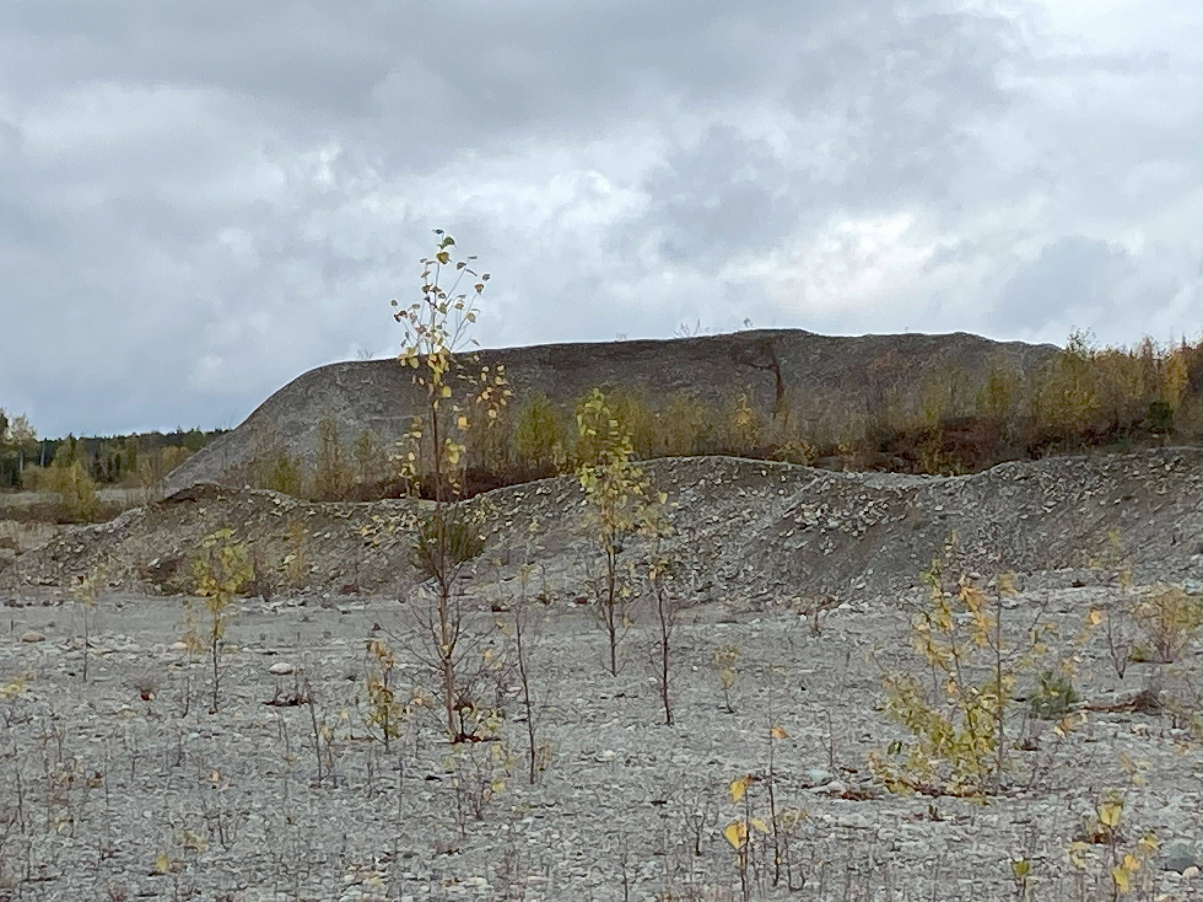 Englehart, ON P0J 1H0,Lot 2 Con 1 Concession