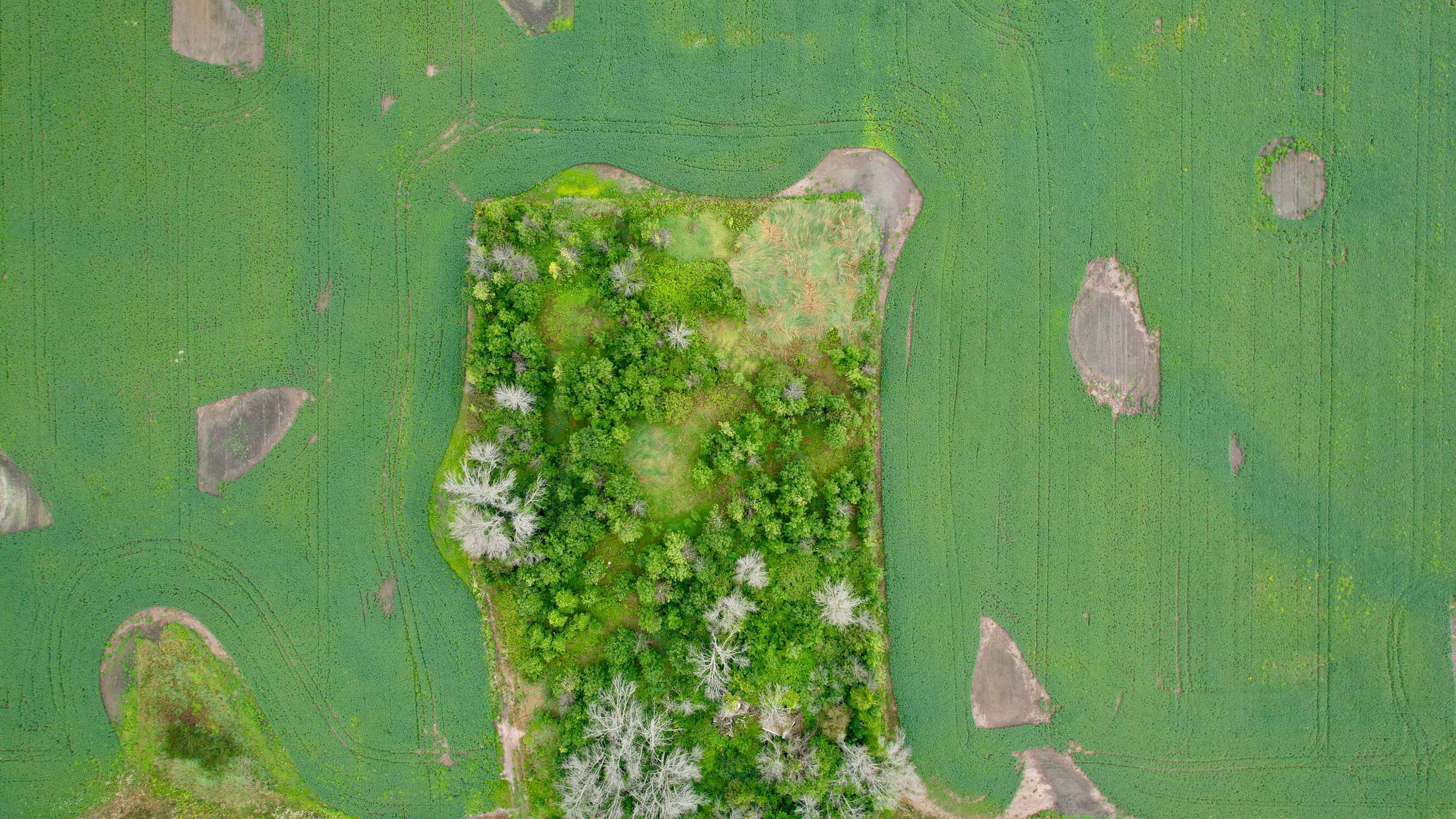 Kincardine, ON N2Z 2X6,1356 Concession Road 10 N/A