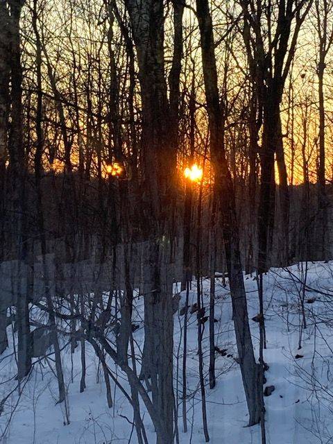 Frontenac, ON K0H 2V0,331 Maple Grove LN