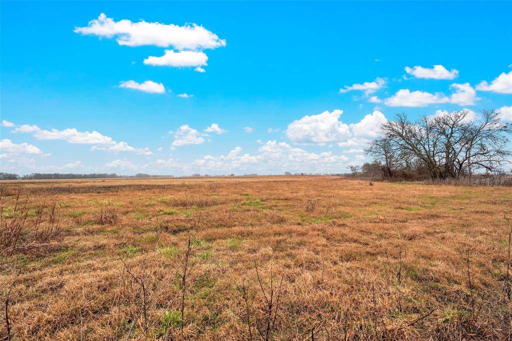 Celeste, TX 75423,73.36 Acres FM 1562