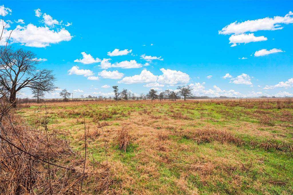 Celeste, TX 75423,73.36 Acres FM 1562