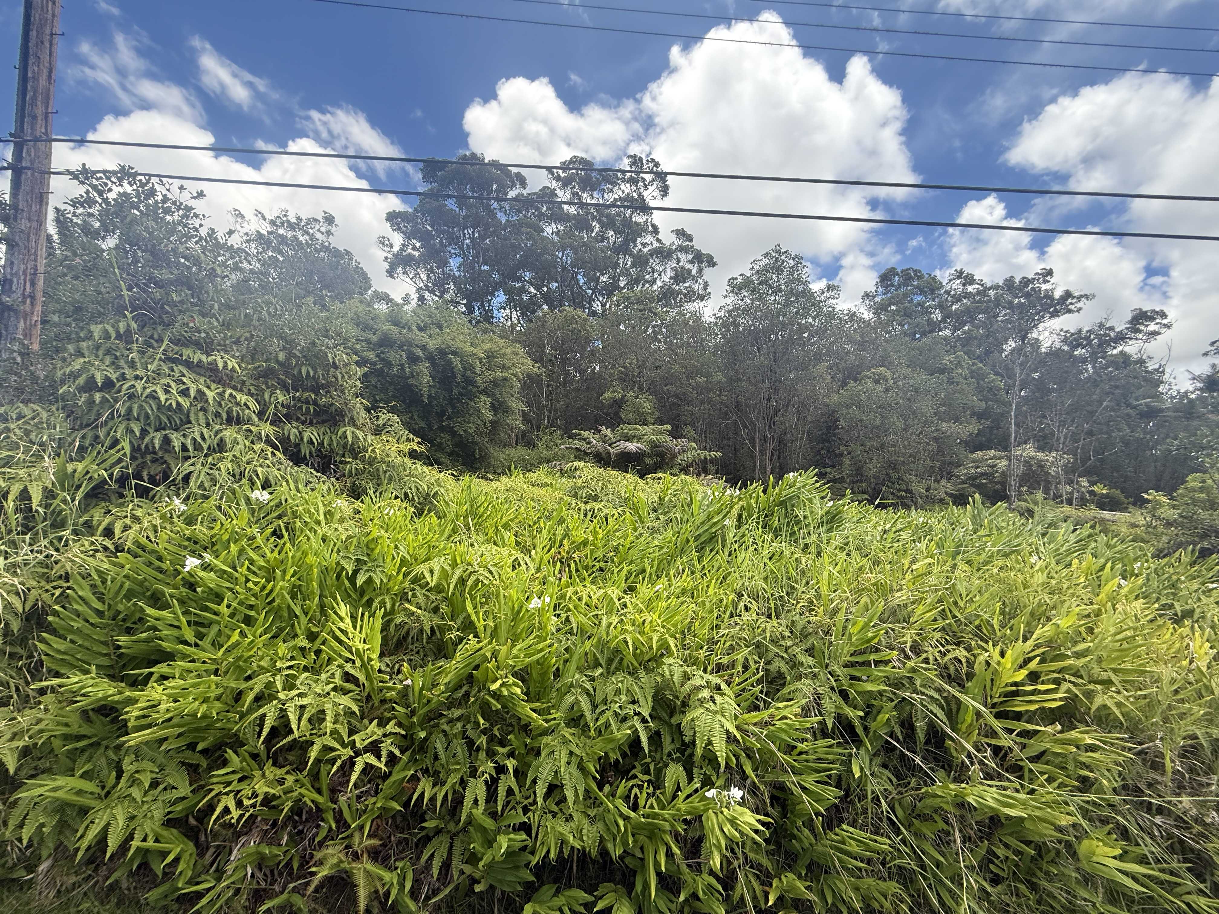 Volcano, HI 96785,18-1975 OHIA NANI RD