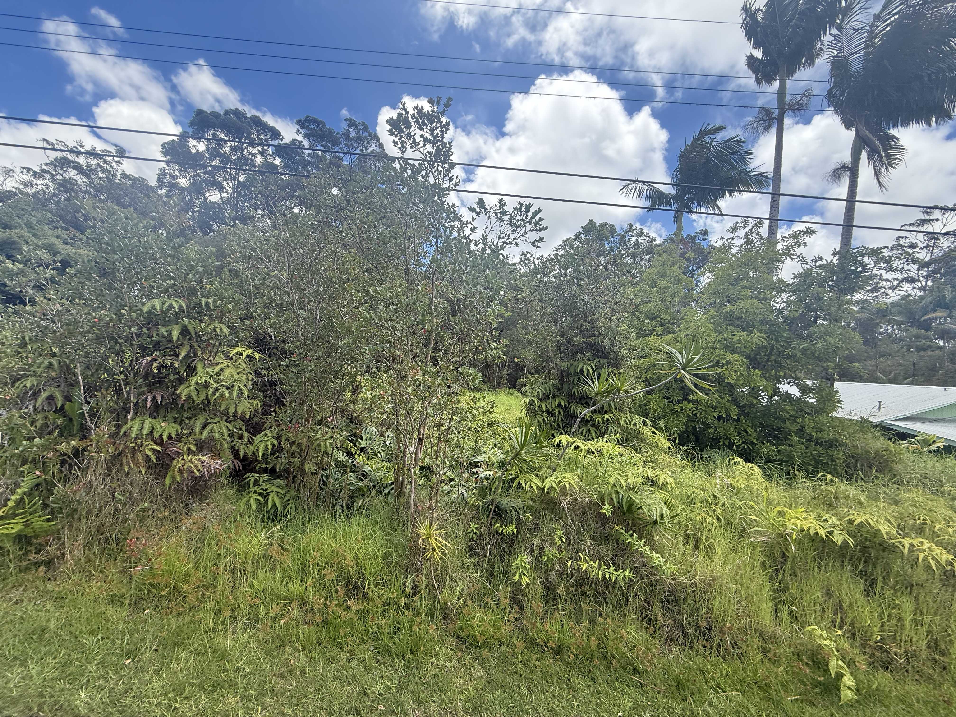 Volcano, HI 96785,18-1977 OHIA NANI RD