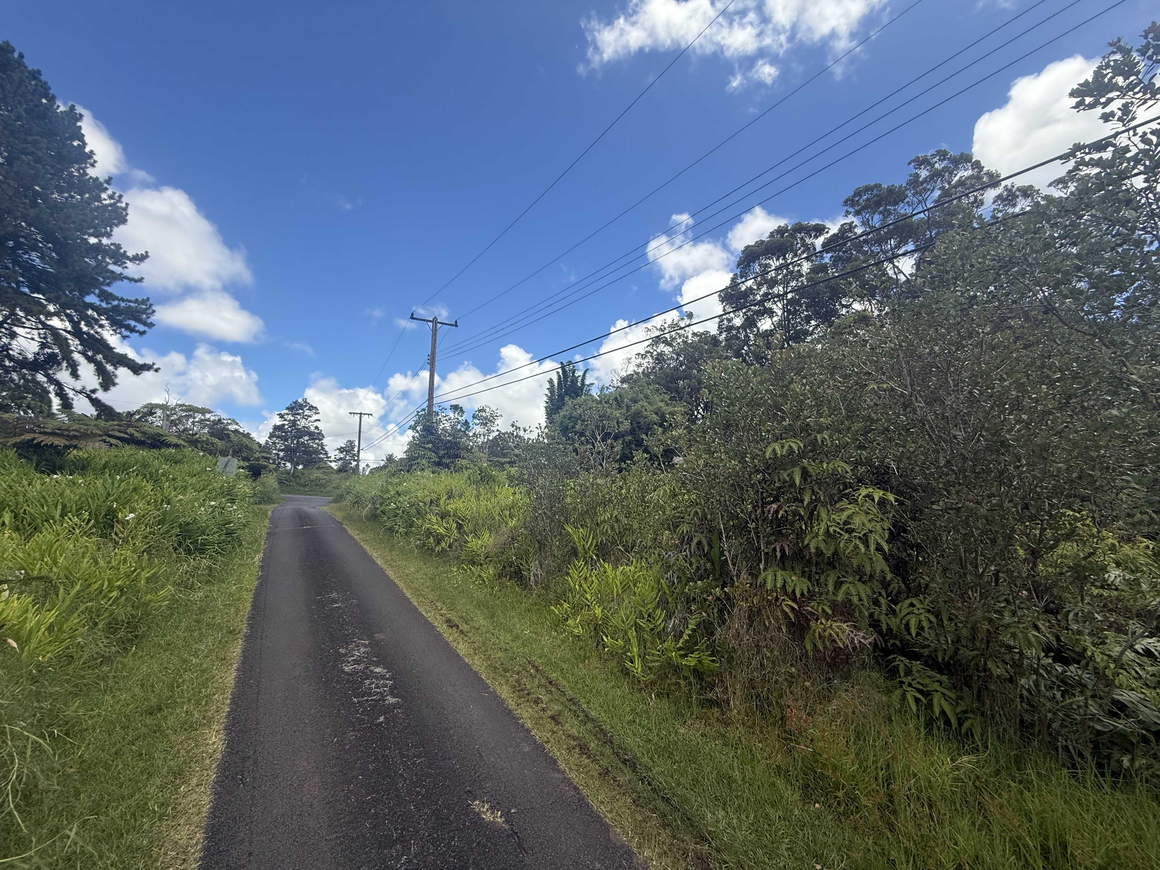 Volcano, HI 96785,18-1977 OHIA NANI RD
