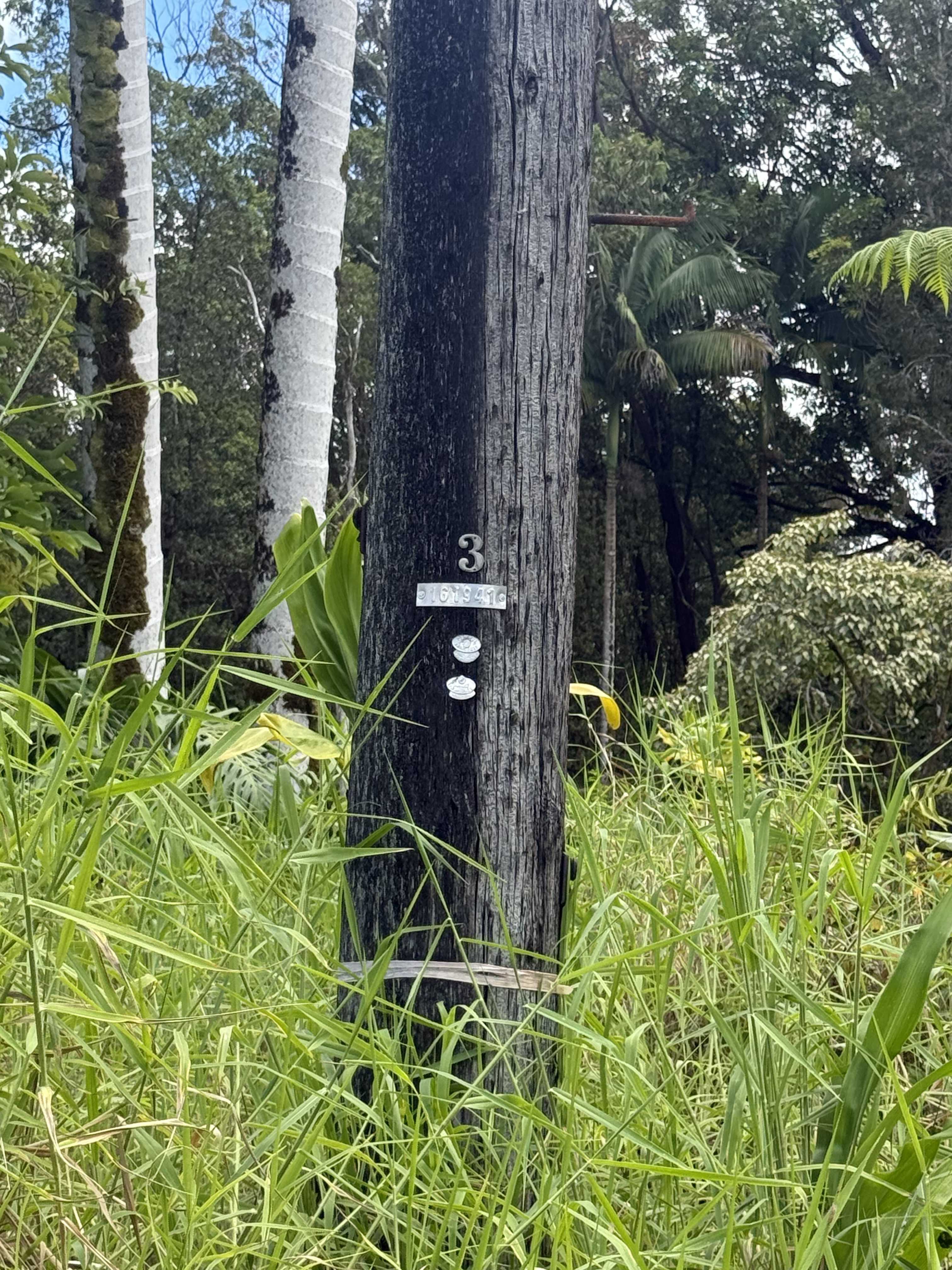 Volcano, HI 96785,18-1977 OHIA NANI RD