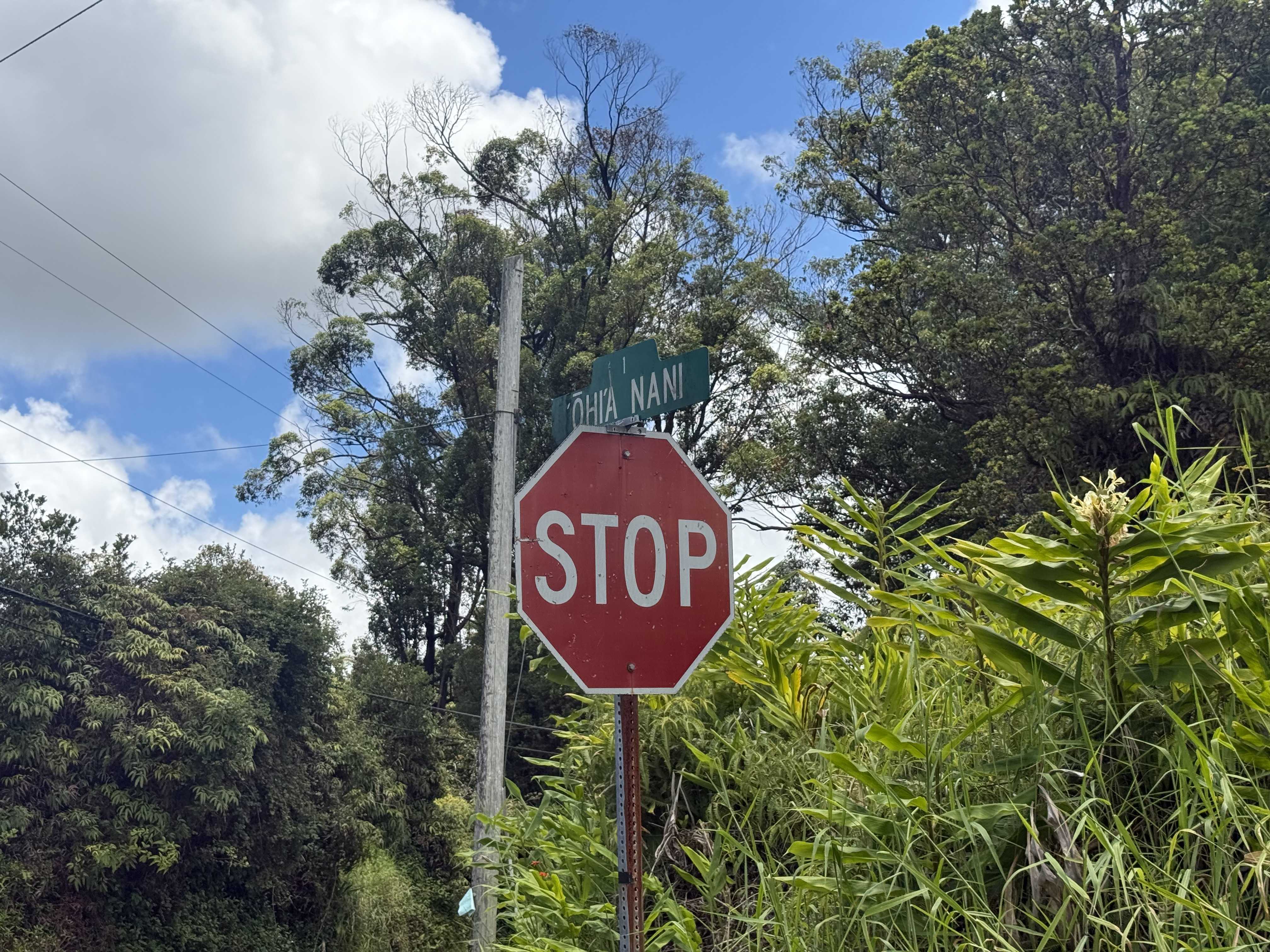 Volcano, HI 96785,18-1977 OHIA NANI RD