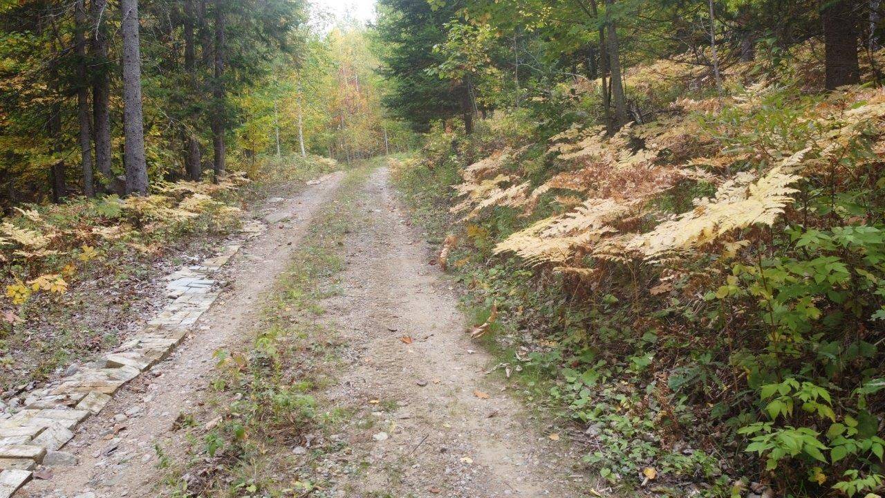 Madawaska Valley, ON K0J 1B0,366 Wigry RD