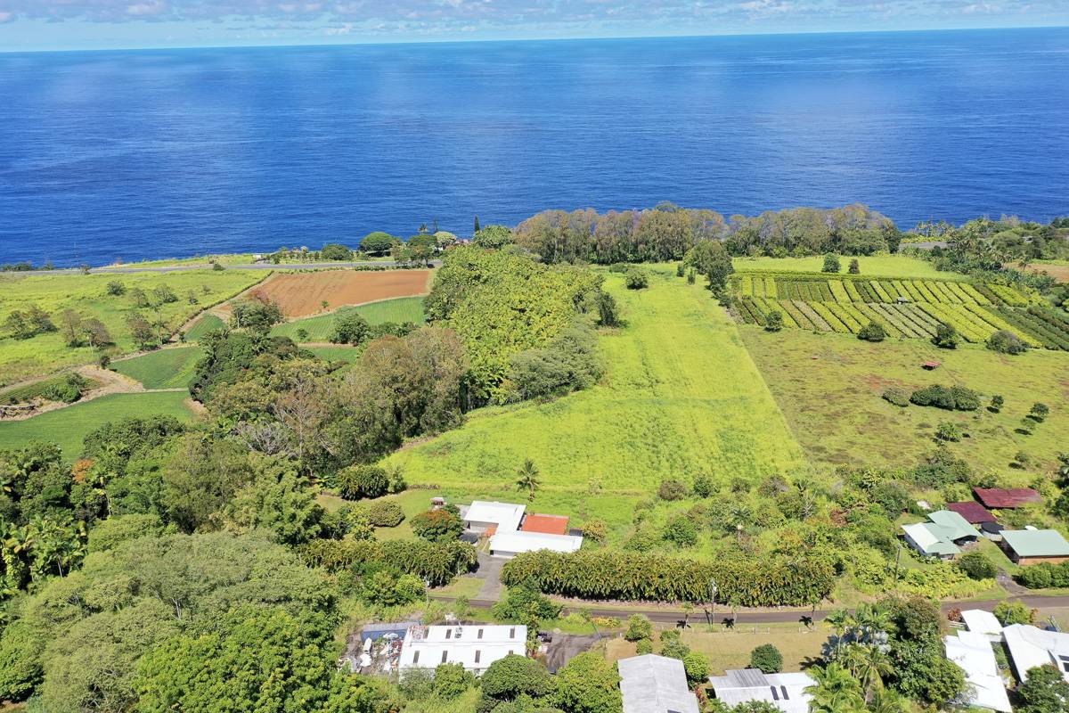 Ninole, HI 96773,31-480 OLD MAMALAHOA HIGHWAY