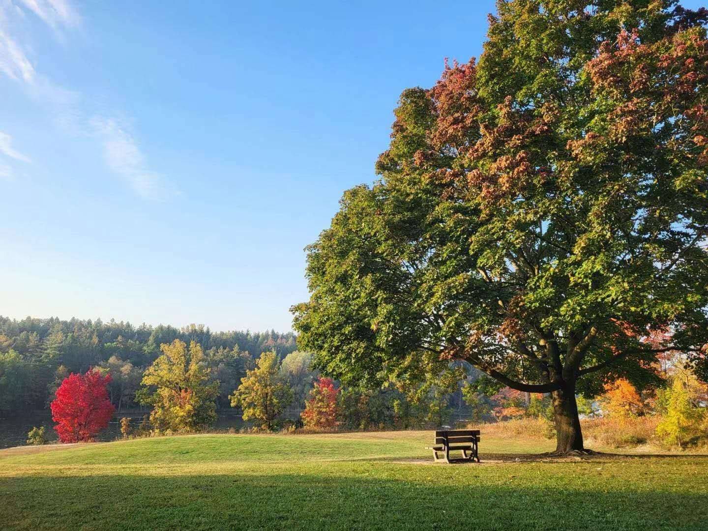 Markham, ON L3P 1E5,2 Riverview RD