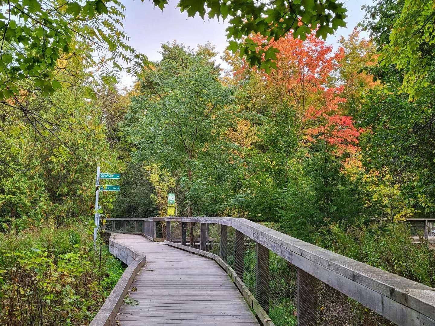 Markham, ON L3P 1E5,2 Riverview RD