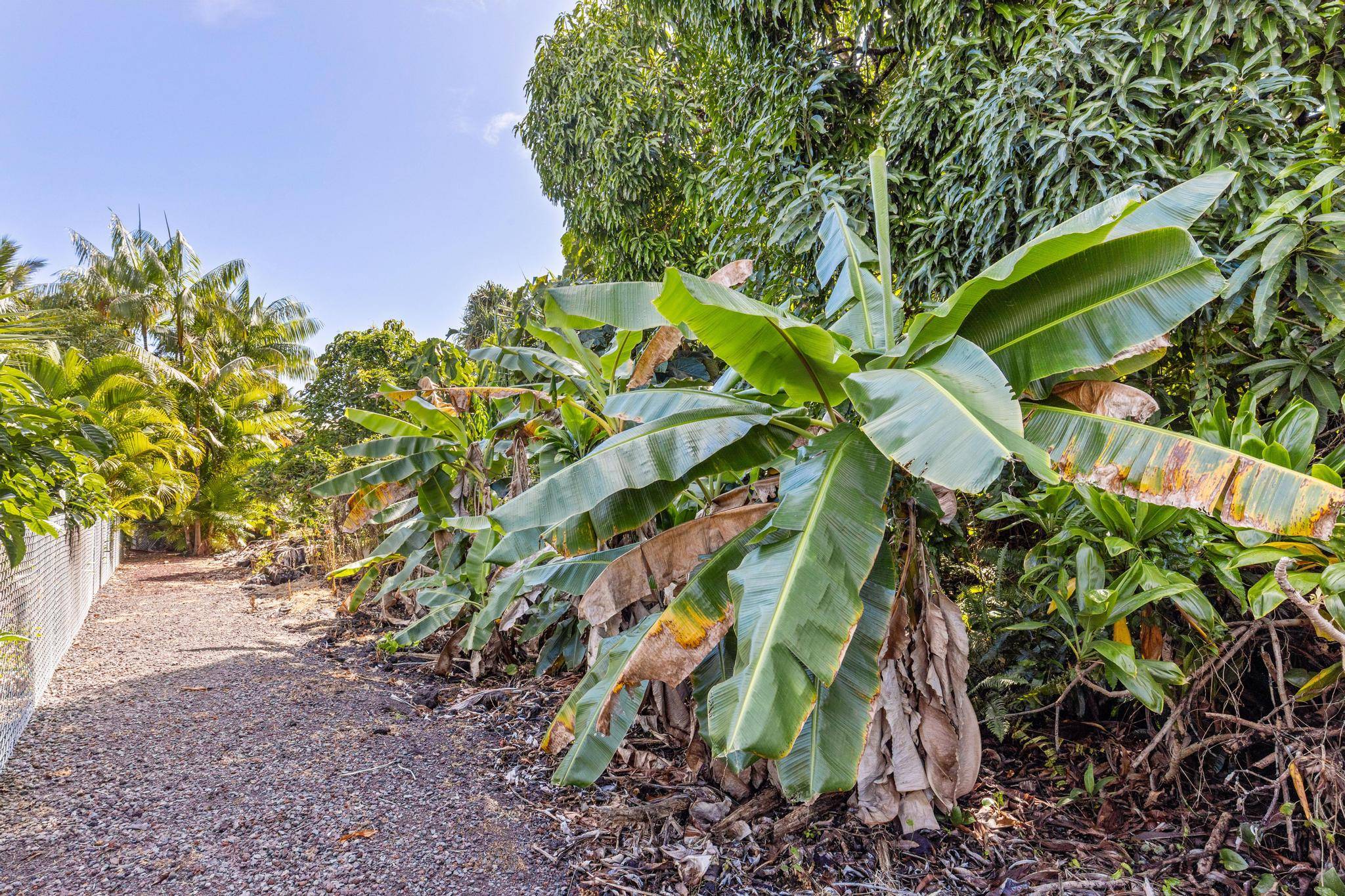 Pahoa, HI 96778,PAPAI ST