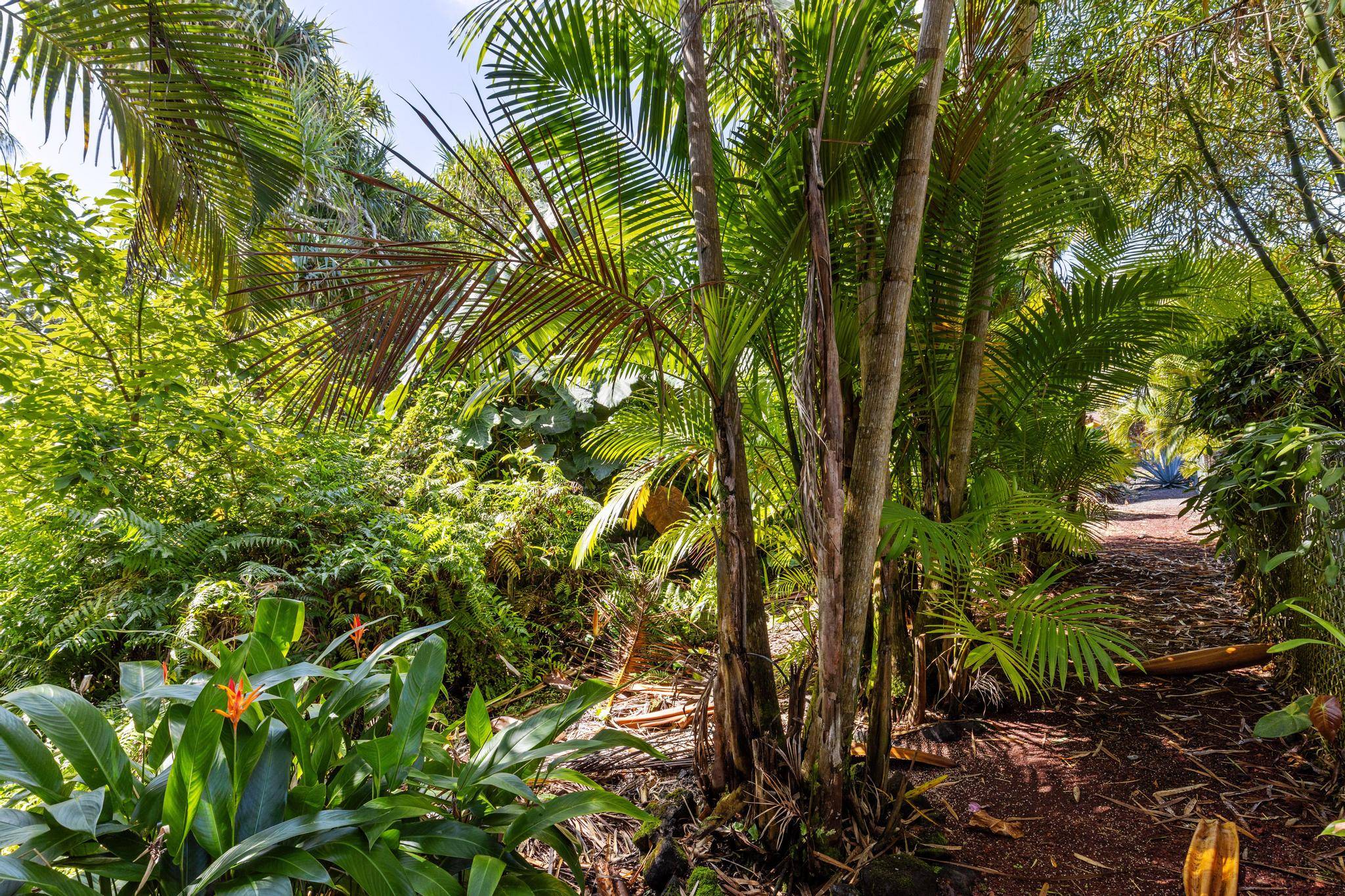 Pahoa, HI 96778,PAPAI ST