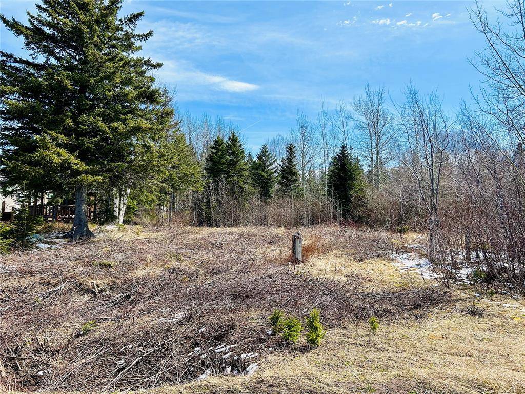 Point Leamington, NL AOH 1E0,56 Pleasantview Road