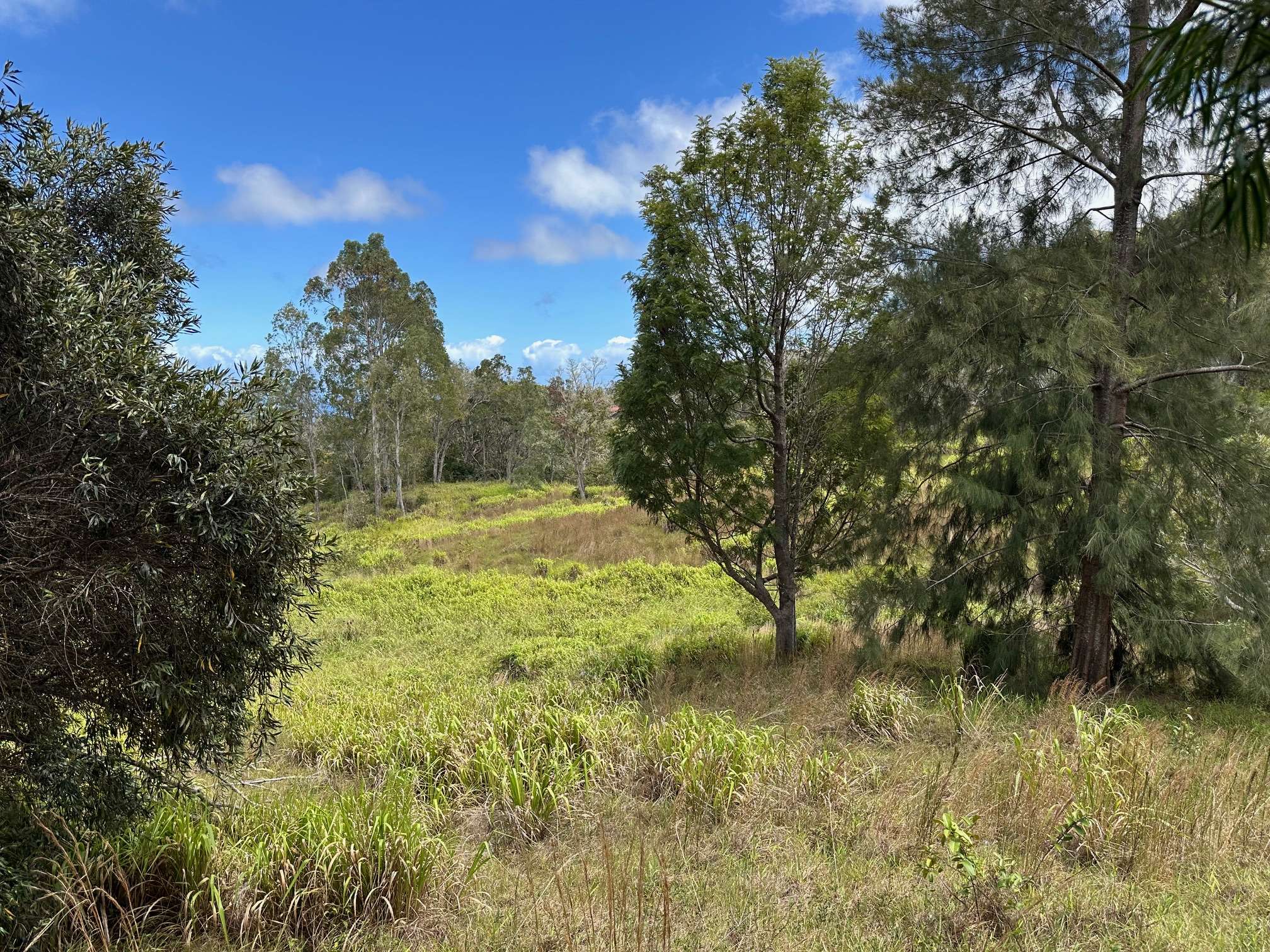 Paauilo, HI 96776,43-729 ANTONE DE LUZ RD