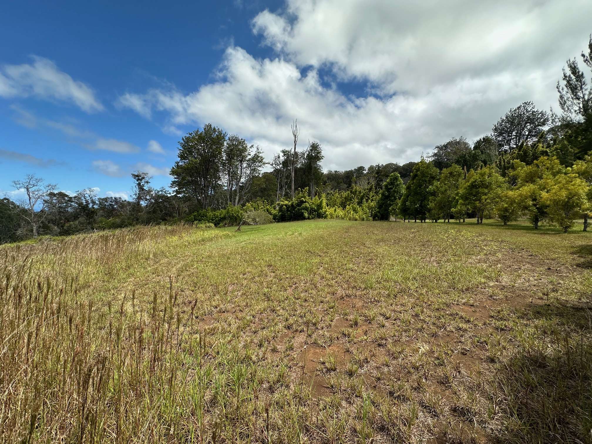 Paauilo, HI 96776,43-729 ANTONE DE LUZ RD