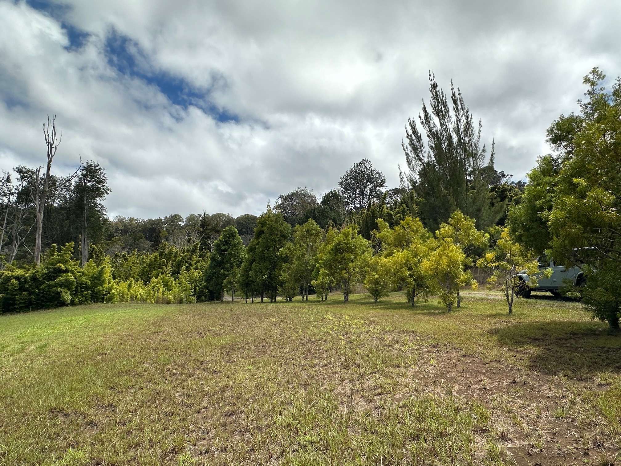 Paauilo, HI 96776,43-729 ANTONE DE LUZ RD