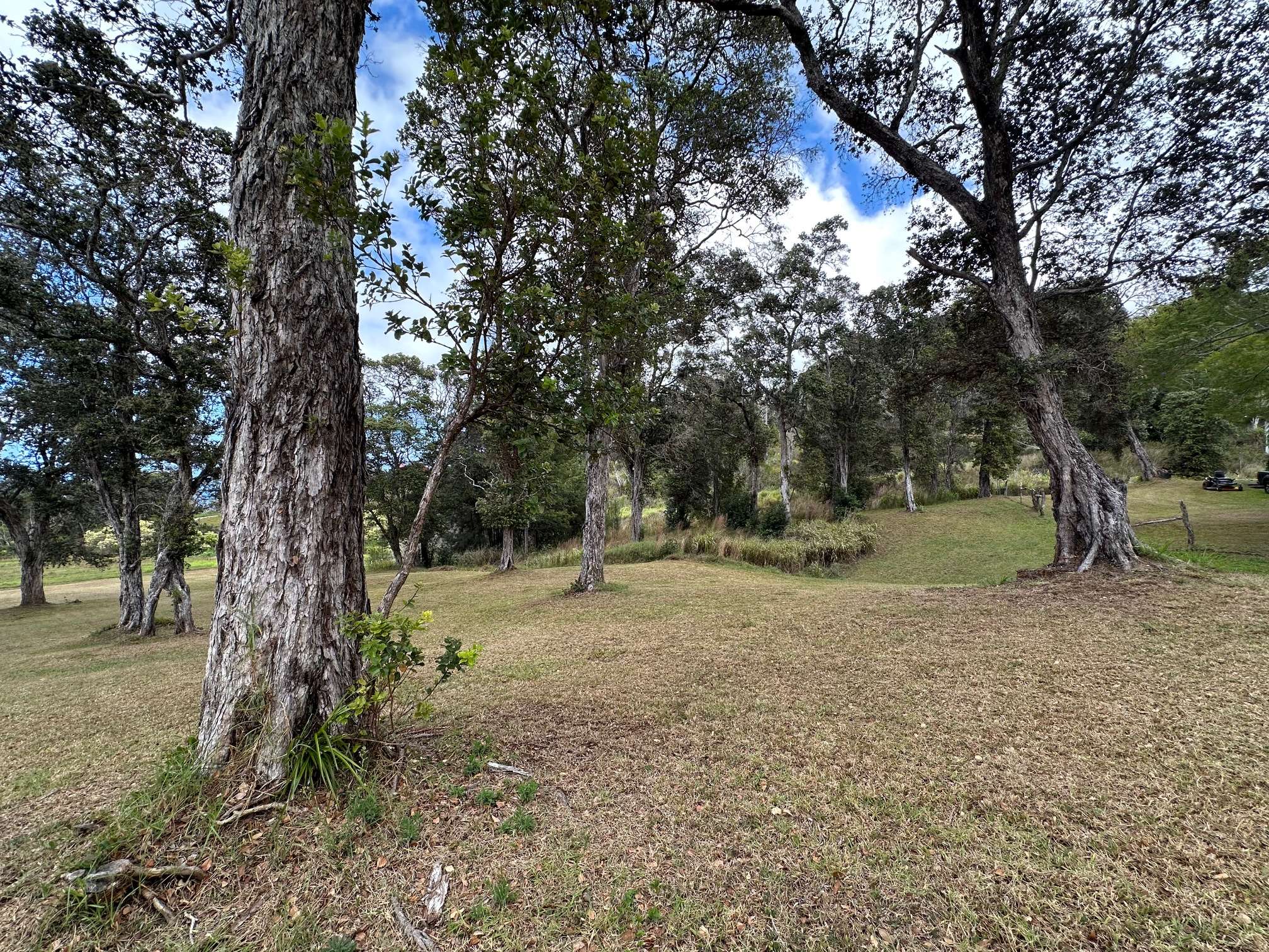 Paauilo, HI 96776,43-733 ANTONE DE LUZ RD