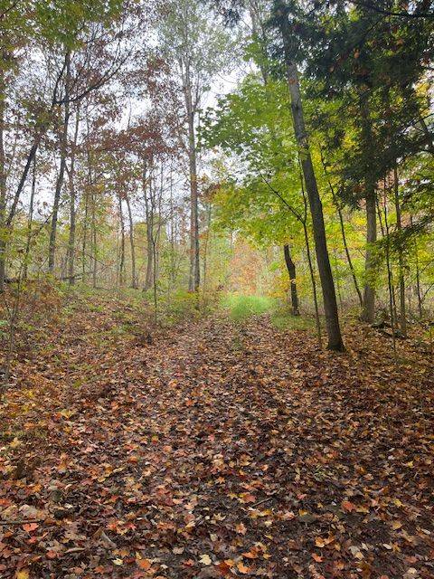 Front Of Yonge, ON K0E 1R0,1738 County 2 RD