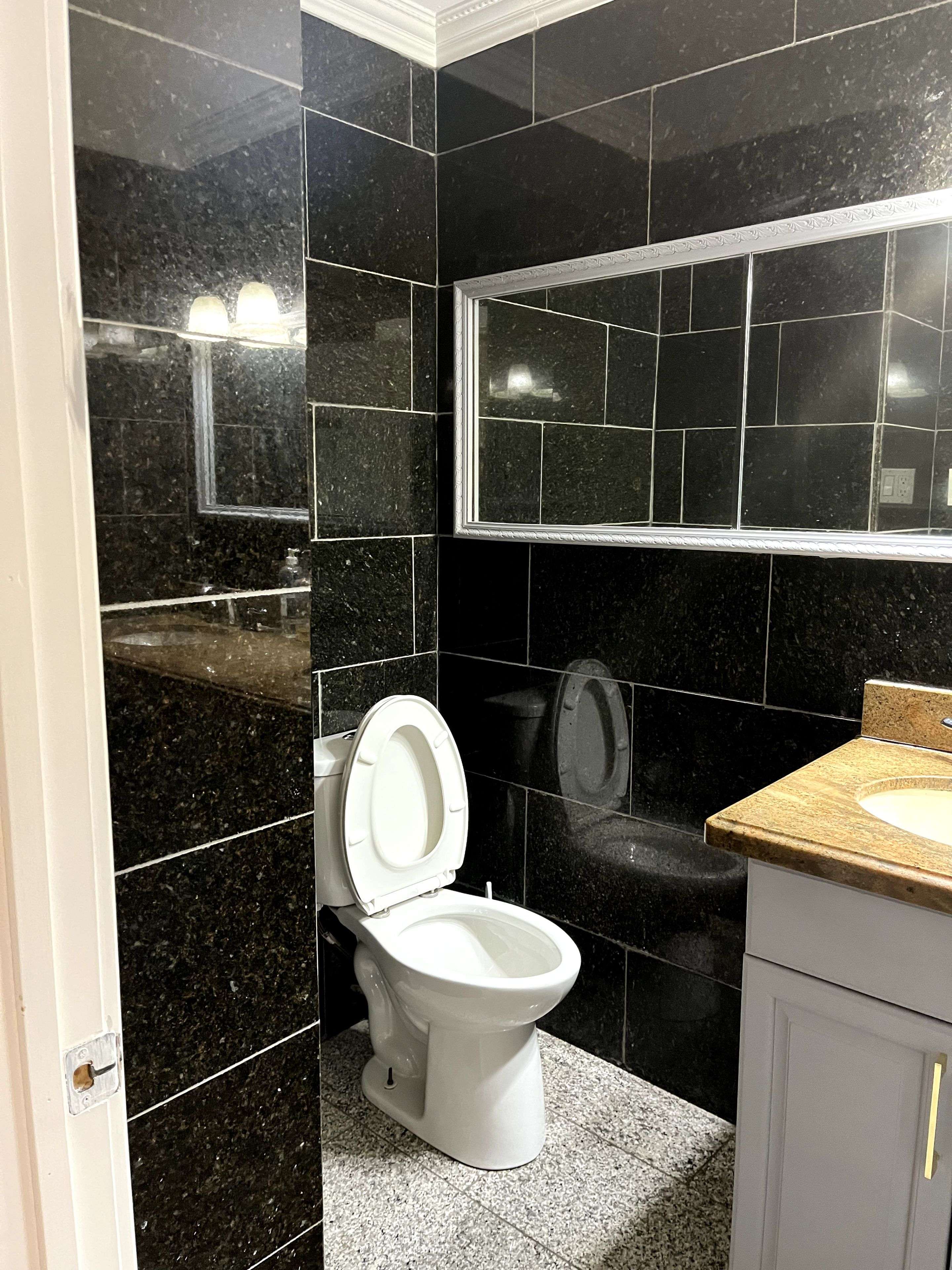 Hamilton, ON L8V 1H7,314 Crockett ST #1