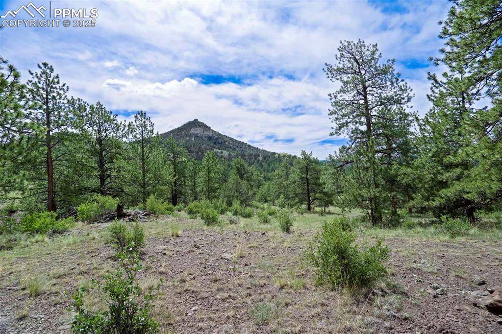 Guffey, CO 80820,Tract 8 County Road 102
