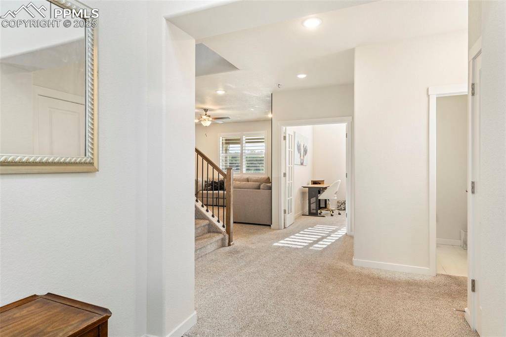 Colorado Springs, CO 80925,9309 Pennycress DR