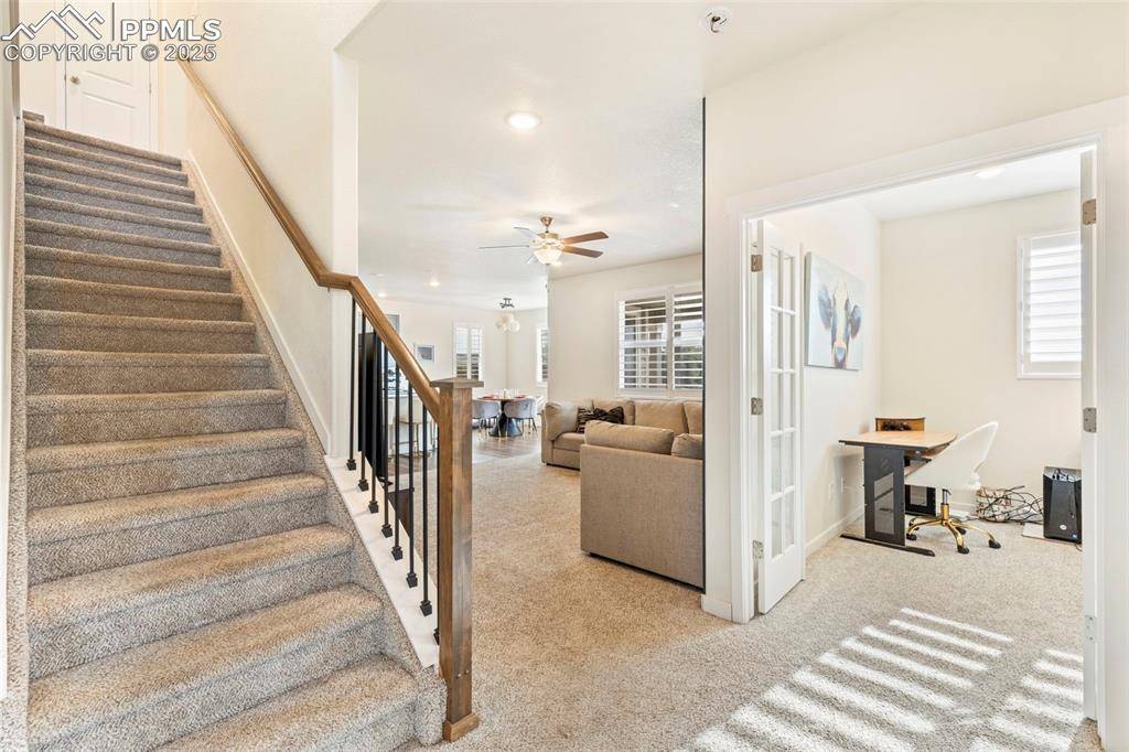 Colorado Springs, CO 80925,9309 Pennycress DR