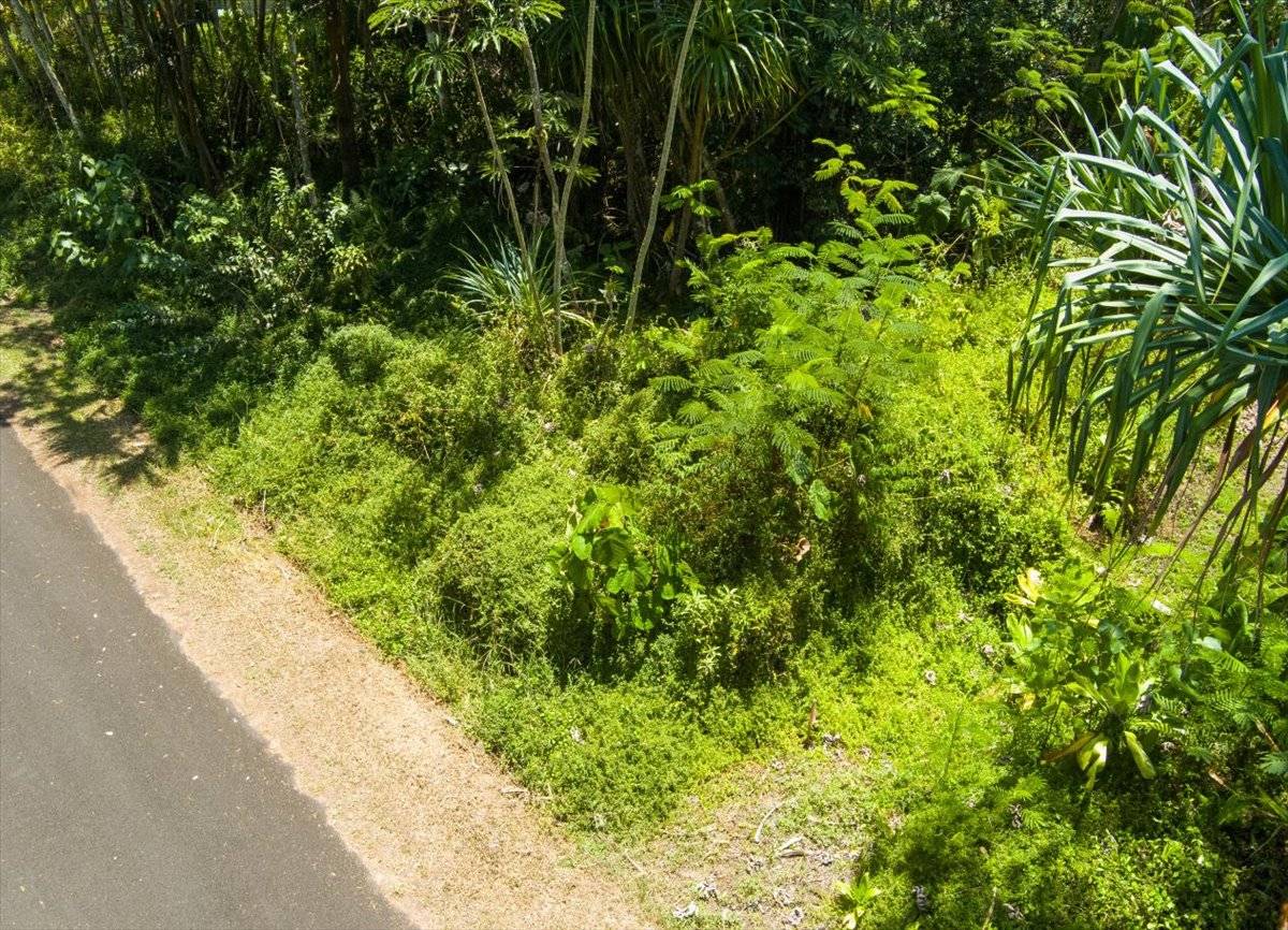 Pahoa, HI 96778,S OPAKAPAKA ST