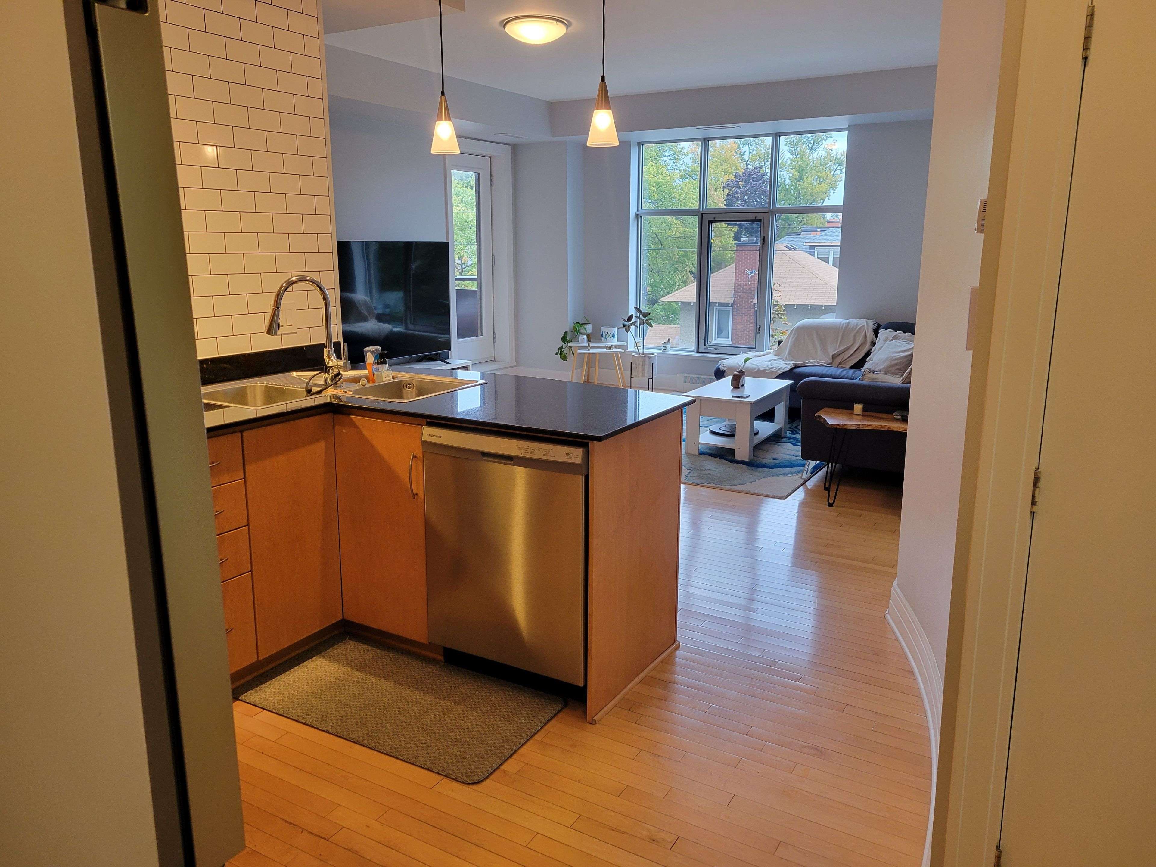 Dows Lake - Civic Hospital And Area, ON K1S 5T4,290 Powell AVE #302