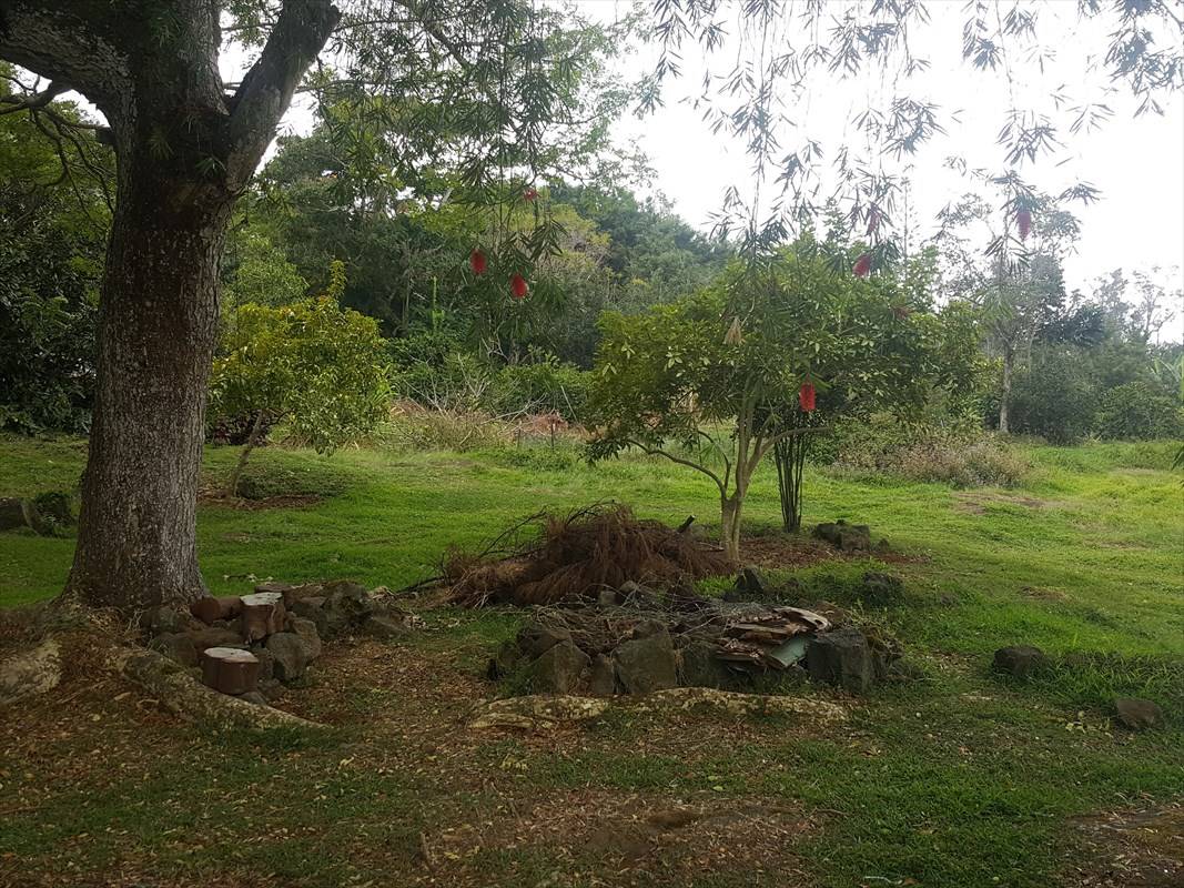 78-7047 MANA OPELU LN, Holualoa, HI 96725