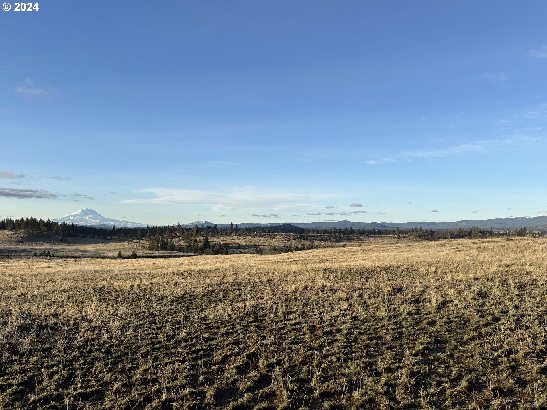 Goldendale, WA 98620,50 LIPO RD