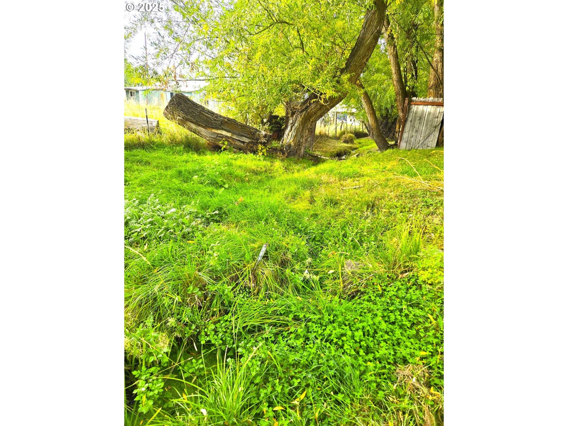 Long Creek, OR 97856,250 E 2nd ST