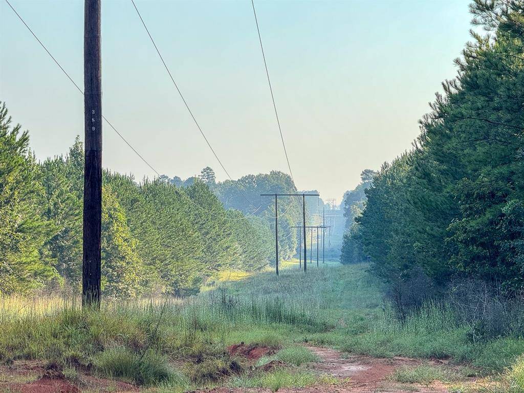 Robeline, LA 71469,3 Big Hill Fire Tower Road