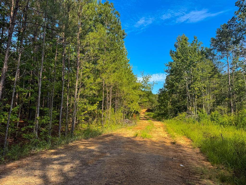 Robeline, LA 71469,3 Big Hill Fire Tower Road