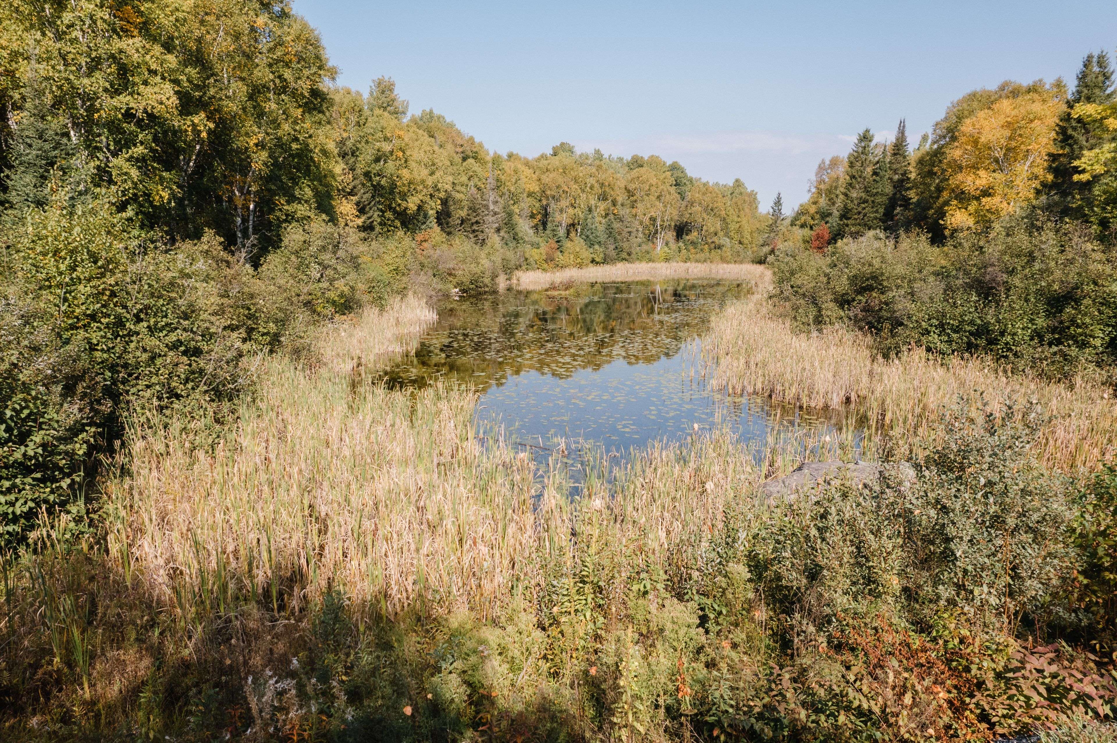 Temagami, ON P0H 2H0,445 Fox RUN