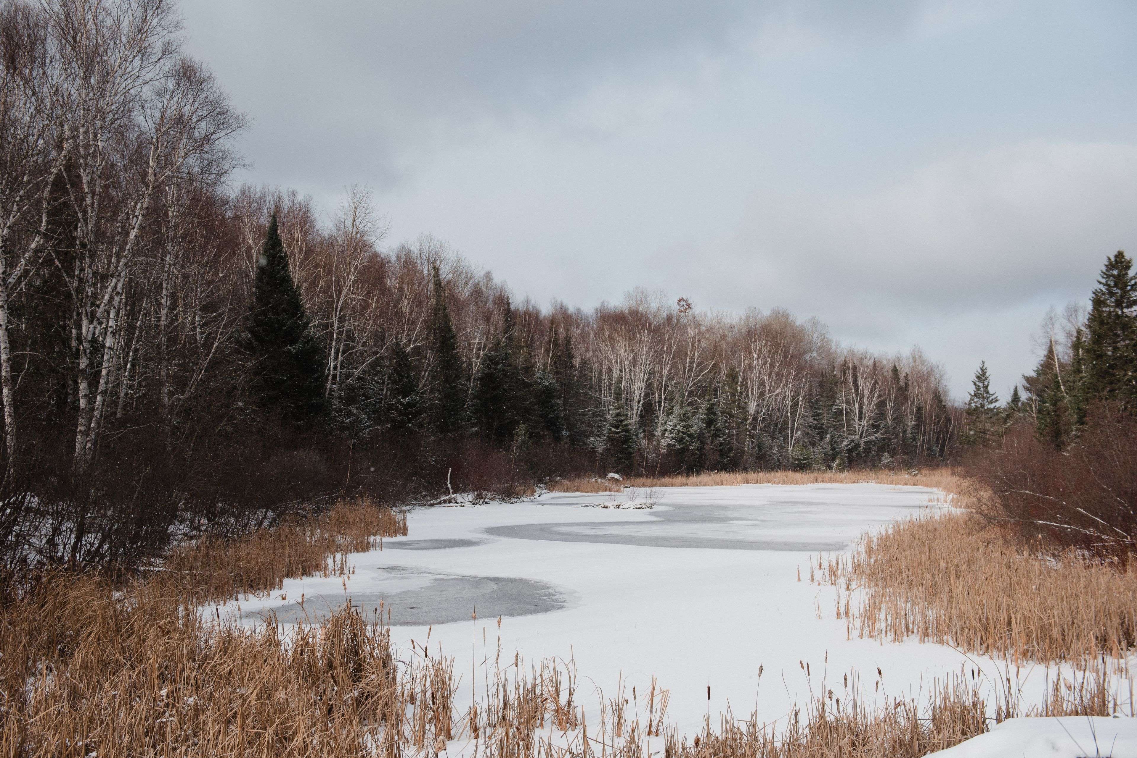 Temagami, ON P0H 2H0,445 Fox RUN