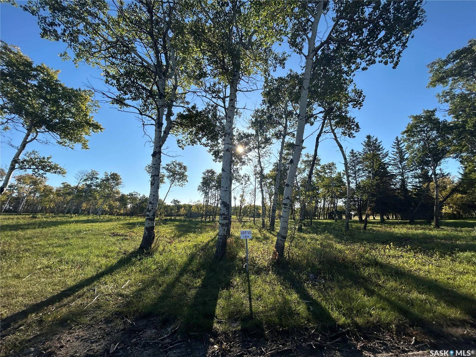 Moosomin Rm No. 121, SK S0G 3N0,Rural Address