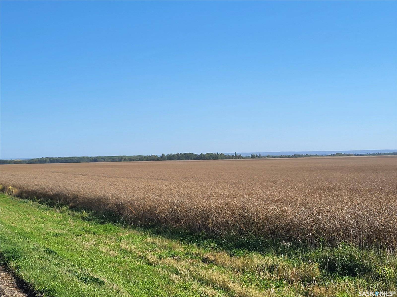 Moose Range Rm No. 486, SK S0E 0L0,Rural Address