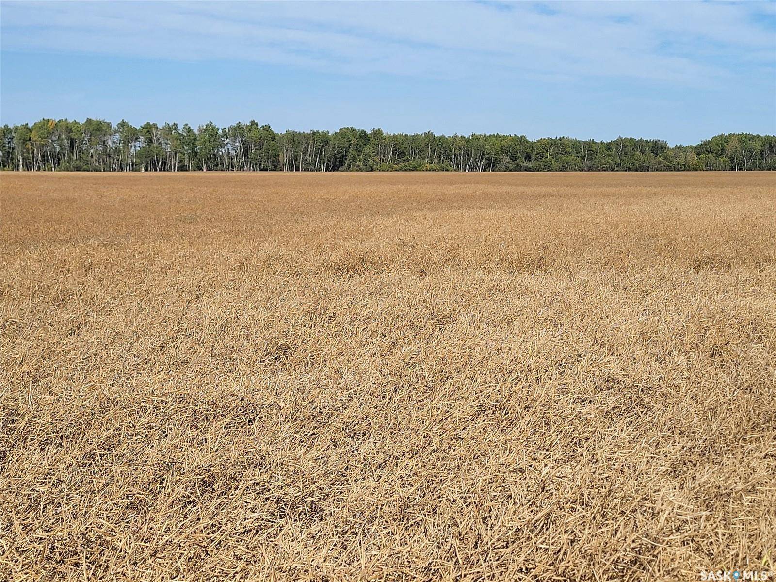 Moose Range Rm No. 486, SK S0E 0L0,Rural Address