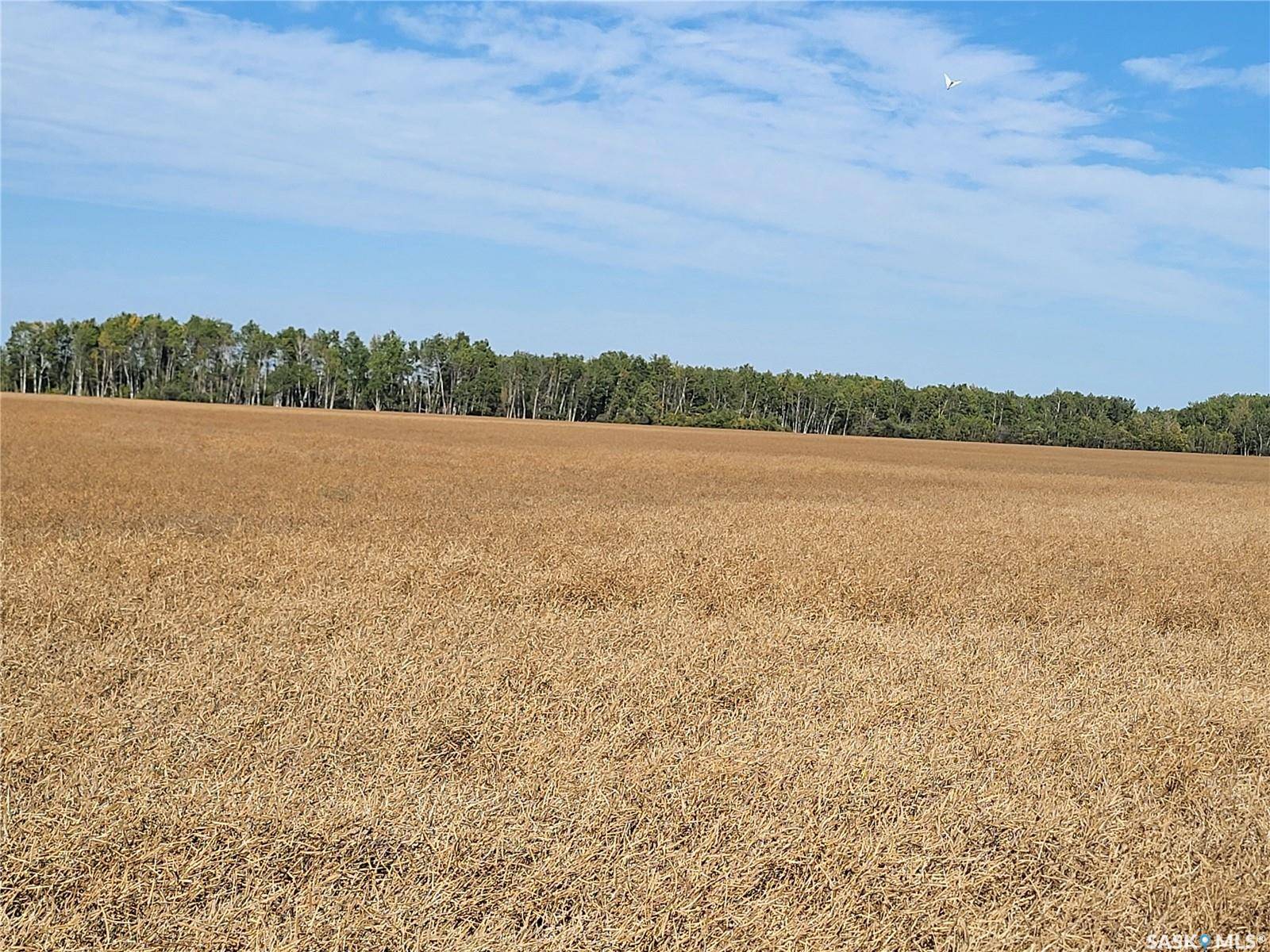 Moose Range Rm No. 486, SK S0E 0L0,Rural Address