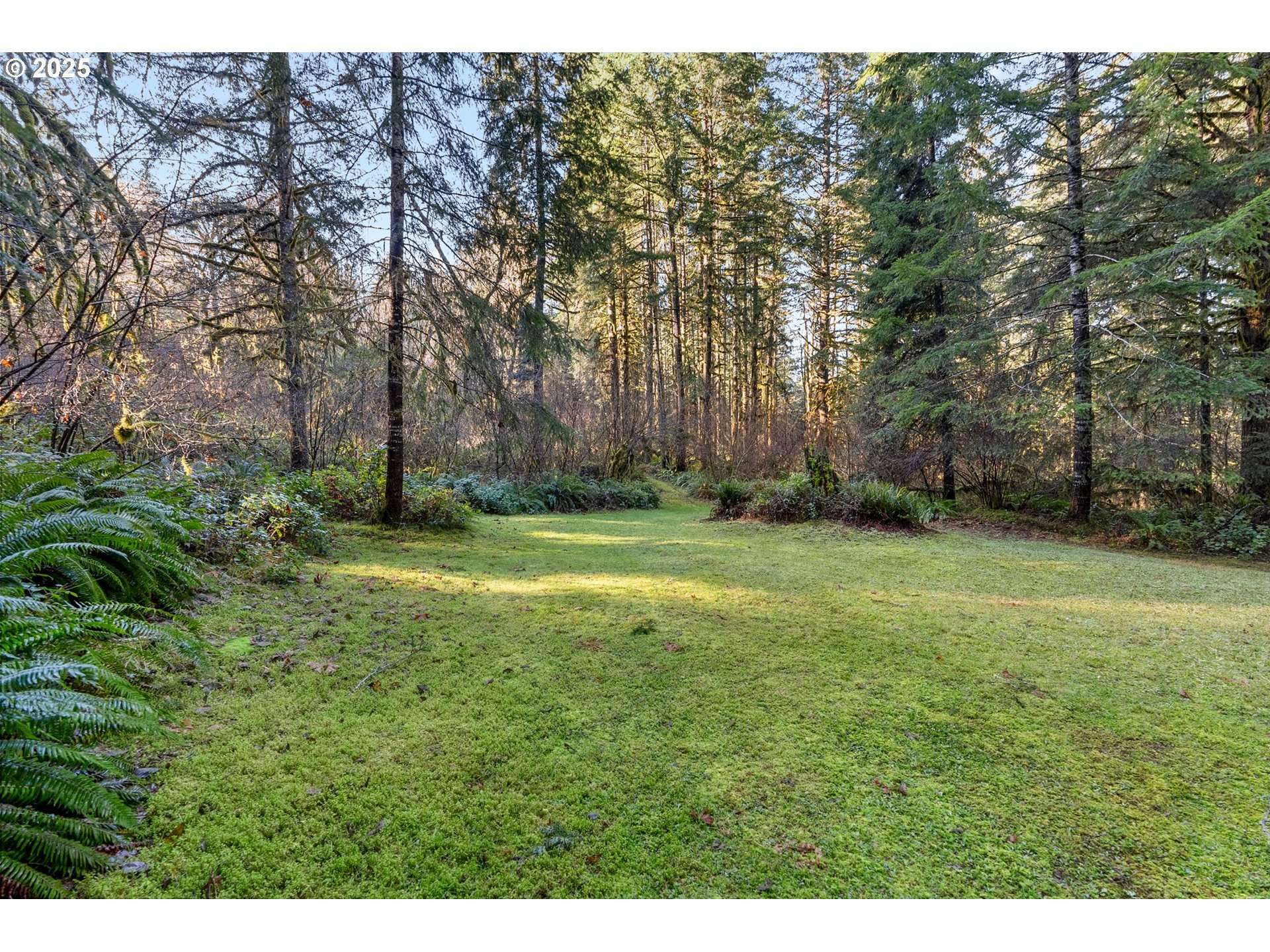 Marcola, OR 97454,WENDLING RD