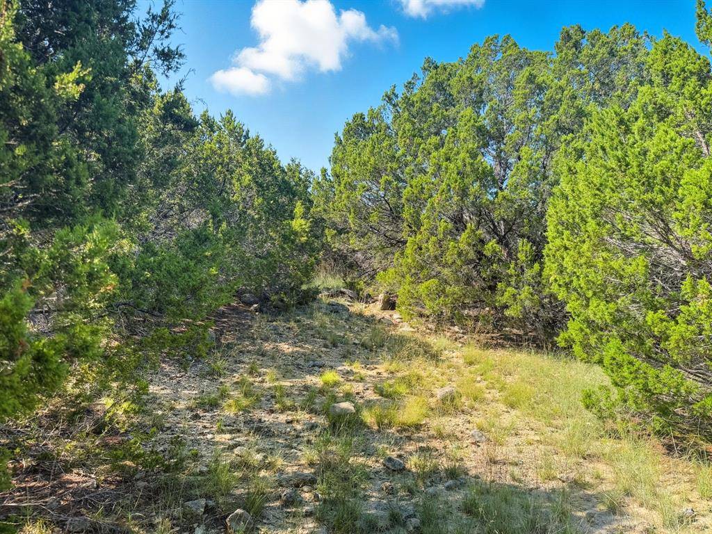 Evant, TX 76525,Lot 2 Ph 3 PR 42110