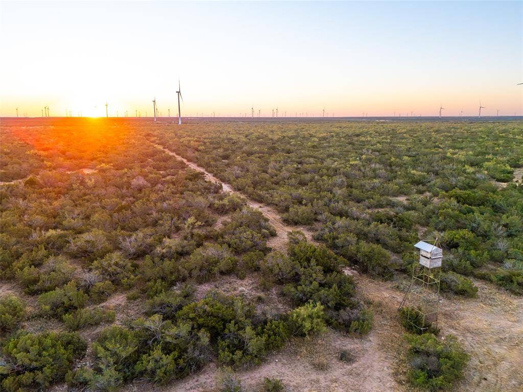 Robert Lee, TX 76945,TBD Walnut Road