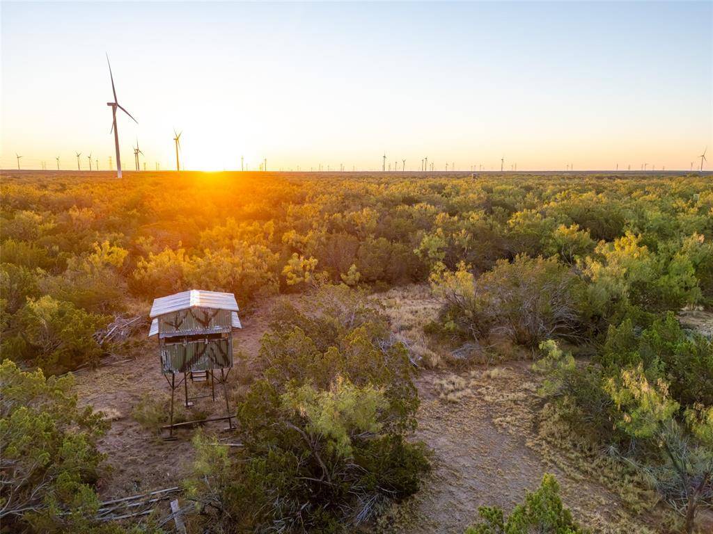 Robert Lee, TX 76945,TBD Walnut Road