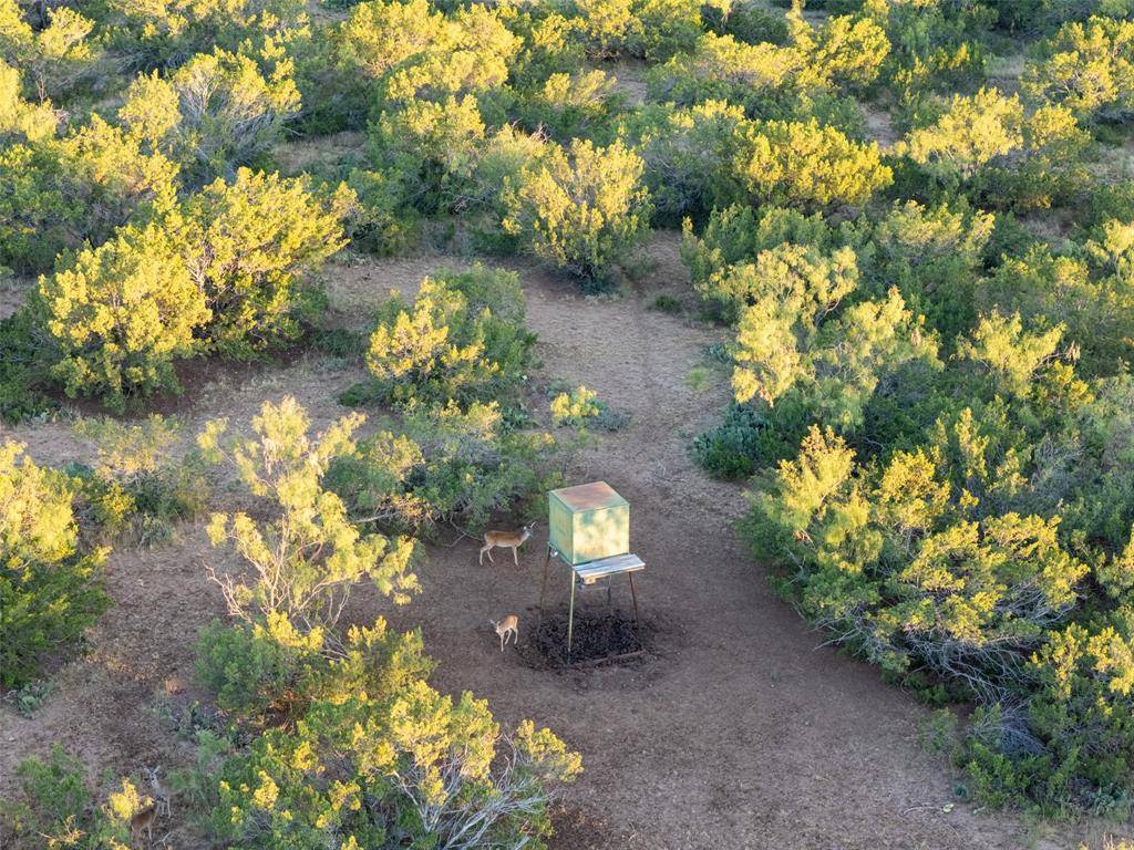 Robert Lee, TX 76945,TBD Walnut Road